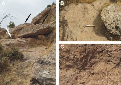 Figure 3. Site 744: the breccia layer with Middle Palaeolithic industry and faunal remains; A: general view of the deposit (white arrow) and the blocks of the collapsed roof (black arrows); B & C: details of the deposits.